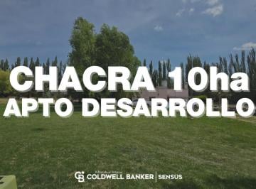 Campo · 150ha · Chacra en Cipolletti