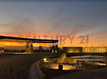 Terreno · 300m² · Lote Central Barrio El Bosque Etapa I