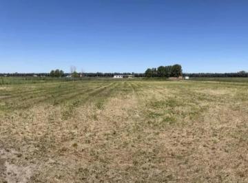 Terreno · 2752m² · Terreno en Venta - 2752 m² - Carlos Keen