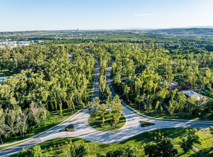 Terreno · 259m² · 1 Ambiente