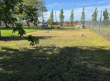 ZUN-ZUN-1315_2 · Lote. | San Cayetano Al 1500