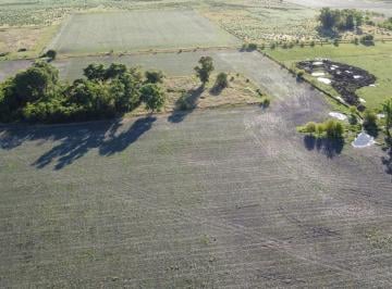 Campo · 200000m² · 20 Ha Agricolas en Roque Perez
