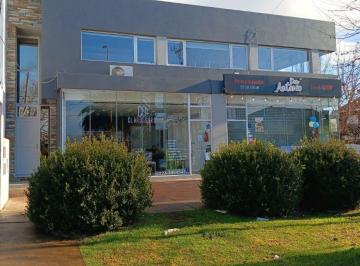 Local comercial de 1 ambiente, Mar del Plata · Venta de Local Comercial Sobre Av Tejedor Mdq