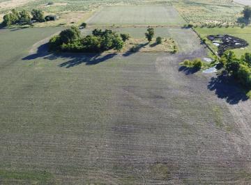 Campo · 200000m² · 20 Ha Agrícolas en Roque Pérez