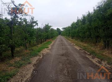 Campo · 105m² · 6 Ambientes · Chacra 21ha, en Mainque