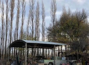 Campo · 105m² · 6 Ambientes · Chacra 21ha, en Mainque