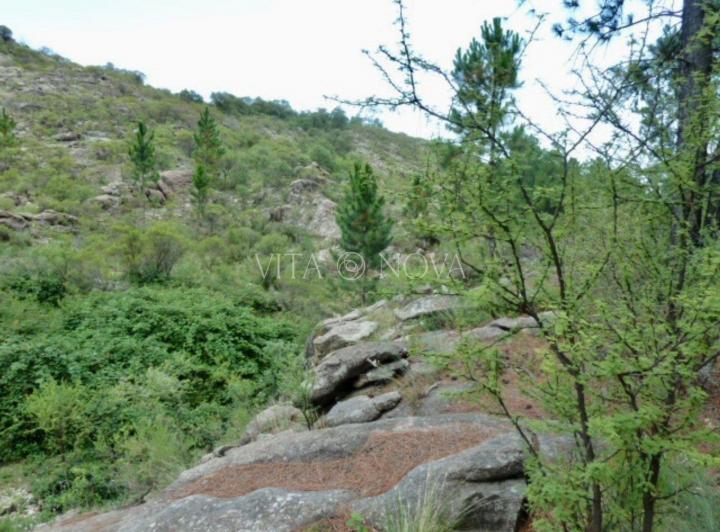 Terreno · 2500m²