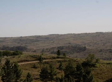 Campo , El Durazno · Fracciones en El Durazno | 2 a 8 Hectáreas | Escritura Inmediata