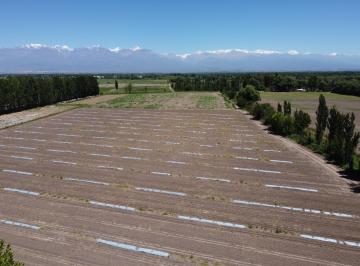 Campo · 1109436m² · Finca en Venta de 110 Hectáreas Ubicada en Tunuyán, en El Distrito de La Primavera, Calle Calderon