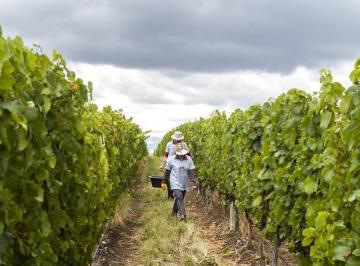 Terreno · 2751m² · Casa de Uco Vineyards & Wine Resort