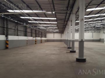 Bodega-Galpón · 2600m² · Nave Industrial - Alquiler - Pablo Podestá