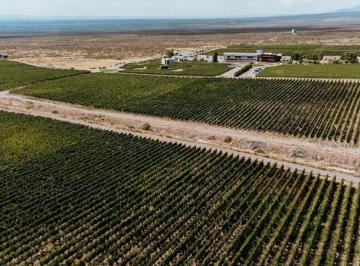 Terreno · 12697m² · Casa de Uco Vineyards & Wine Resort