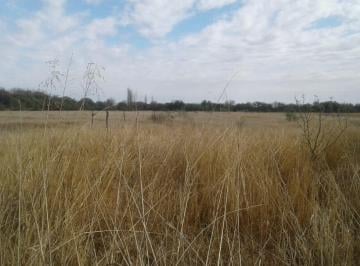 Campo · 500000m² · 5 Ambientes · 1 Cochera · Campo en Venta de 50 Hectáreas - Cruz del Eje