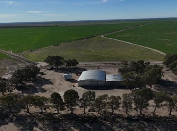 Campo · 100790000m² · 3 Ambientes · Campo Mixto en Venta 10.000 Has en Patagones