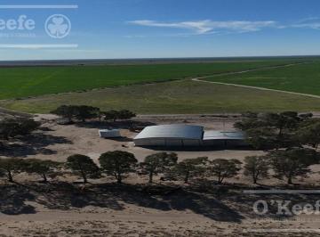 Campo · 100790000ha · 3 Ambientes · Campo Mixto en Venta 10.000 Has en Patagones