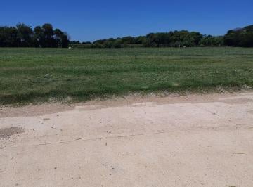 Terreno , Bouwer · Lotes Industriales Zona Sur - Bwr11/14