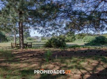 Foto1 · Lotes en Veramansa - Barrio Privado en Playa Mansa, Punta del Este