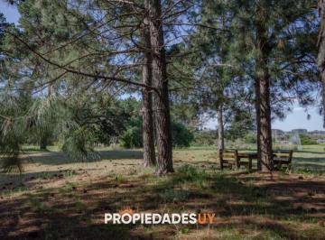 Foto1 · Lote en Veramansa - Barrio Privado en Playa Mansa, Punta del Este