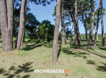Foto1 · Lotes en Veramansa - Barrio Privado en Playa Mansa, Punta del Este
