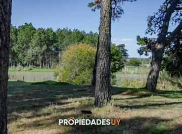 Foto1 · Lotes en Veramansa - Barrio Privado en Playa Mansa, Punta del Este