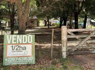 Terreno · 4875m² · ¡Venta! Gral. Madariaga, Bs. As. Media Hectarea Arbolada