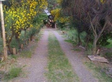 Casa de 9 ambientes, Las Paredes · Venta Dos Cabañas en Funcionamiento C/ Piscina - Las Paredes - San Rafael - Mendoza