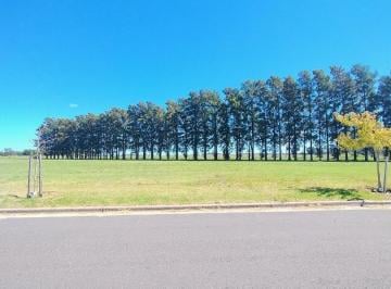 Terreno · 300m² · Se Vende Terreno en Eco Lagos - Gral. Lagos