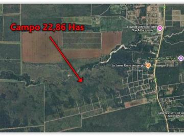 Campo · 228681m² · 1 Ambiente · Villa de Merlo, a 600 m Ruta 1, Altura La Herminda 22 Ha