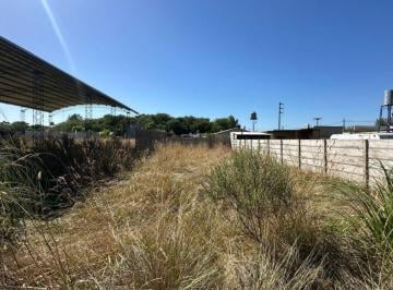 Terreno en Venta   · Lote 312 m², Calle 135 Entre 12 y 16, General Belgrano, Buenos Aires.