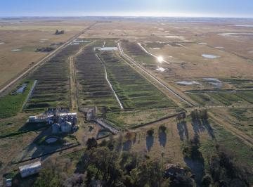 Campo · 1500ha · 6 Ambientes · Feedlot en Venta 102ha Las Flores