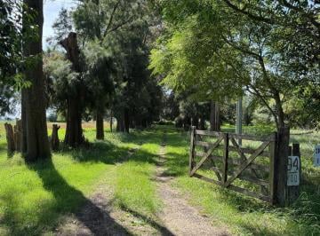 Campo · 110m² · 7 Ambientes · Campo de 13ha en Venta en San Andres de Giles Excelente Ubicacion