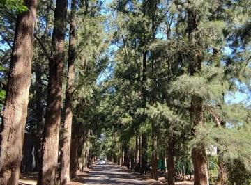 Terreno · 300m² · Terreno en Venta de 300 m² Barrio El Rincon - Villa Elisa