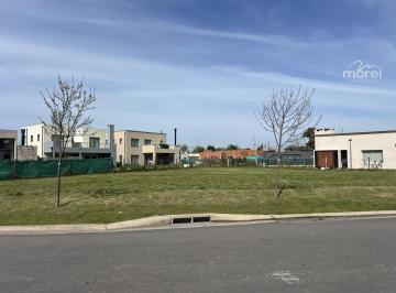 Foto Principal · Lote Venta Barrio San Pablo - Interno - 704 m² #id 20067