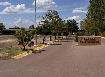 Terreno · 500m² · Terreno en Venta Mayor Drumond - Lujan de Cuyo