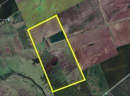 Campo · 840000ha · Venta de Campo - La Vanguardia, Coronel Bogado