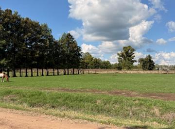 Terreno · 1140m² · Un Pueblo Mágico Que Ofrece La Serenidad y La Desconexión con Las Que Tanto Sueñas.