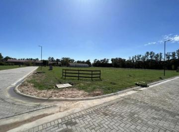 Terreno · 900m² · Terreno en Venta - 900 m² - Cortines