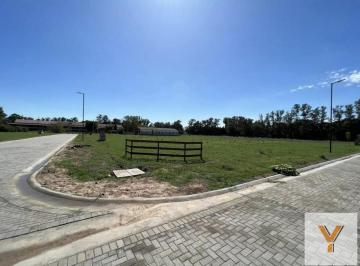 Terreno · 900m² · Terreno en Venta - 900 m² - Cortines