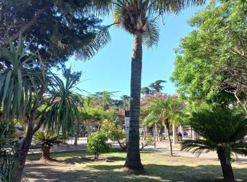 PH de 5 ambientes, San Isidro · Dueño Alquila Departamento Amplio Luminoso Cercano a Plaza