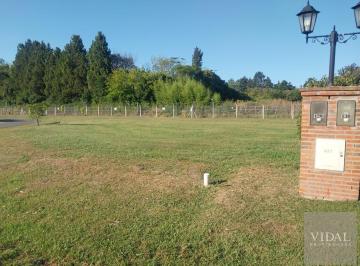 Terreno · 807m² · Terreno Lote Venta en Altos de Campo Grande Pilar