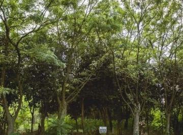 Terreno , 20 de Junio · Terreno en Venta - 20 de Junio