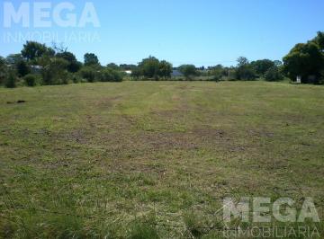 Terreno · 3000m² · Terreno en Maria Grande