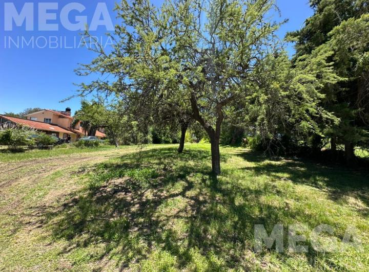 Terreno · 1072m²