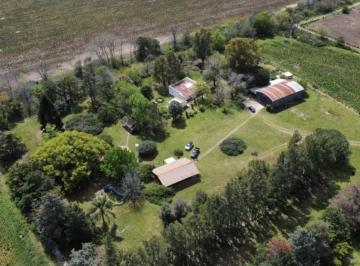 SGM-SGM-1342_2 · Campo. | Ruta 9 Al 100