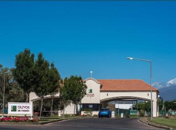 Terreno · 604m² · Venta Lote B° Olivos del Torreón - Maipú