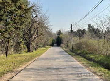 Terreno · 4376m² · Venta Terreno a Desmontar con Añeja Arboleda en Barrio Freixas