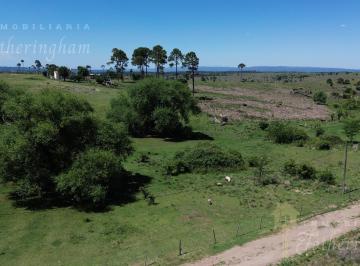 Terreno · Terreno en Yacanto Calamuchita