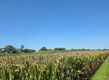 Campo · 1180000m² · 1 Ambiente · Venta Campo Agricola con Casa y Galpon 118 Has Cno60 Cuadras