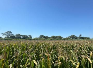 Campo · 1180000m² · 1 Ambiente · Venta Campo Agricola con Casa y Galpon 118 Has Cno60 Cuadras
