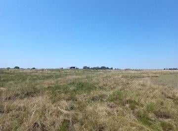Campo · 760000ha · Campo en Venta - 76 Hectáreas - San Nicolás de Los Arroyos